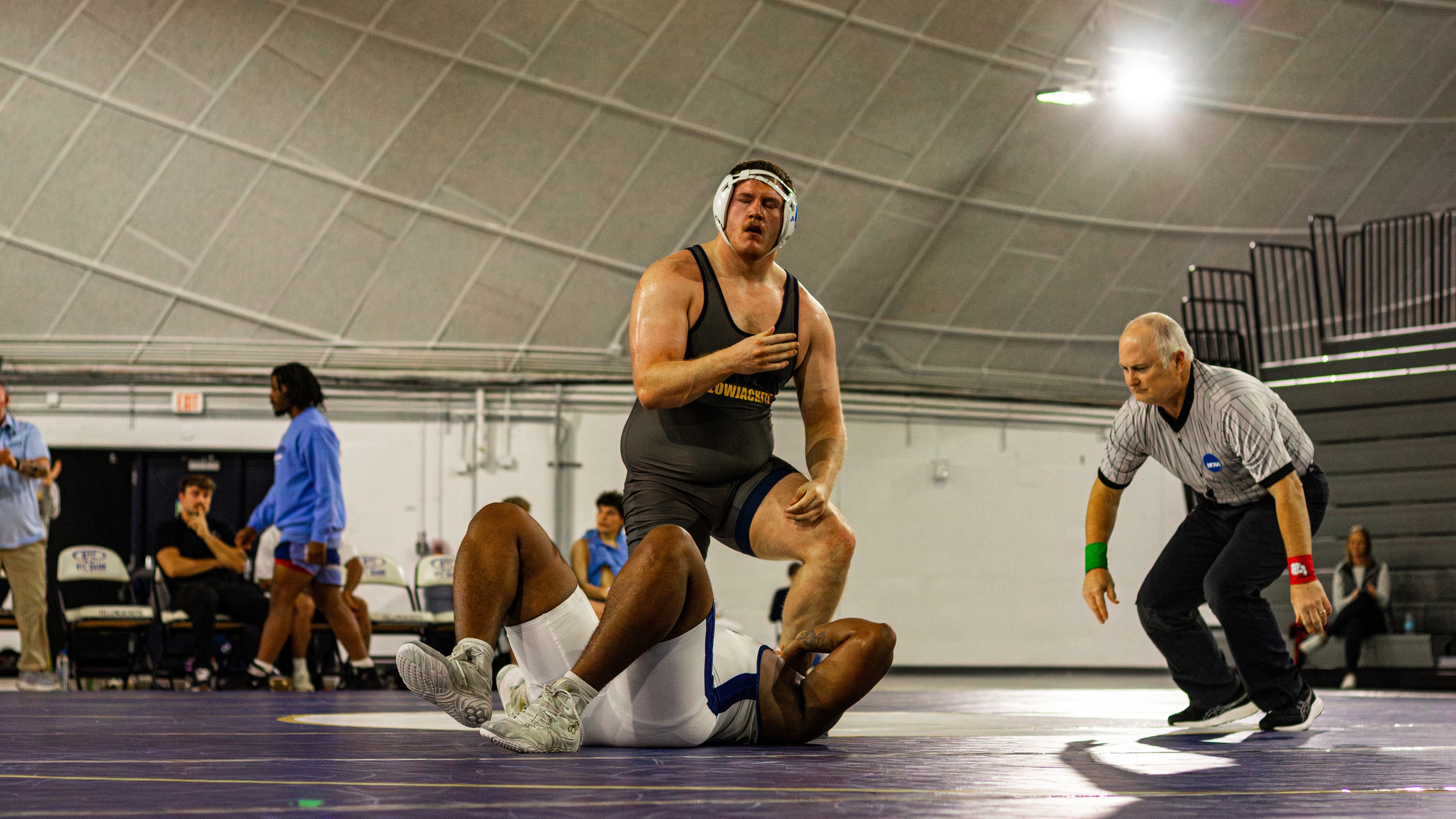 Graceland Dominates St. Ambrose in Home Dual Victory