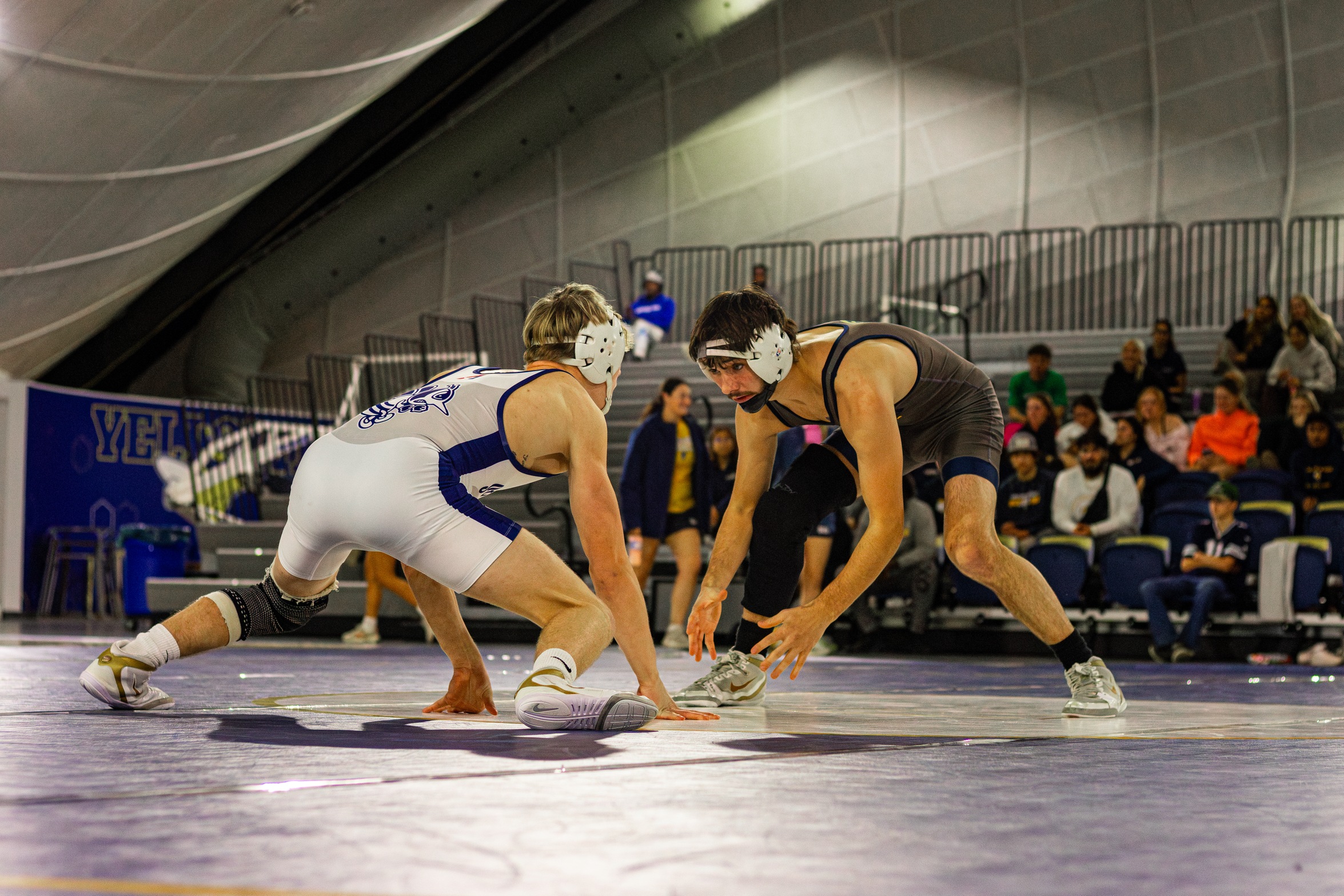 Graceland Competes at Missouri Valley Viking Open