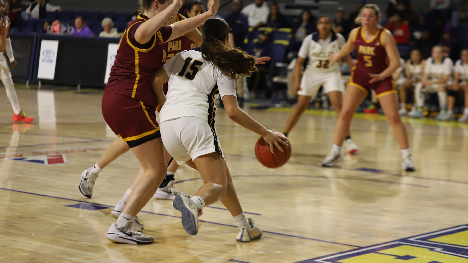 Women&rsquo;s Basketball Falls to Park