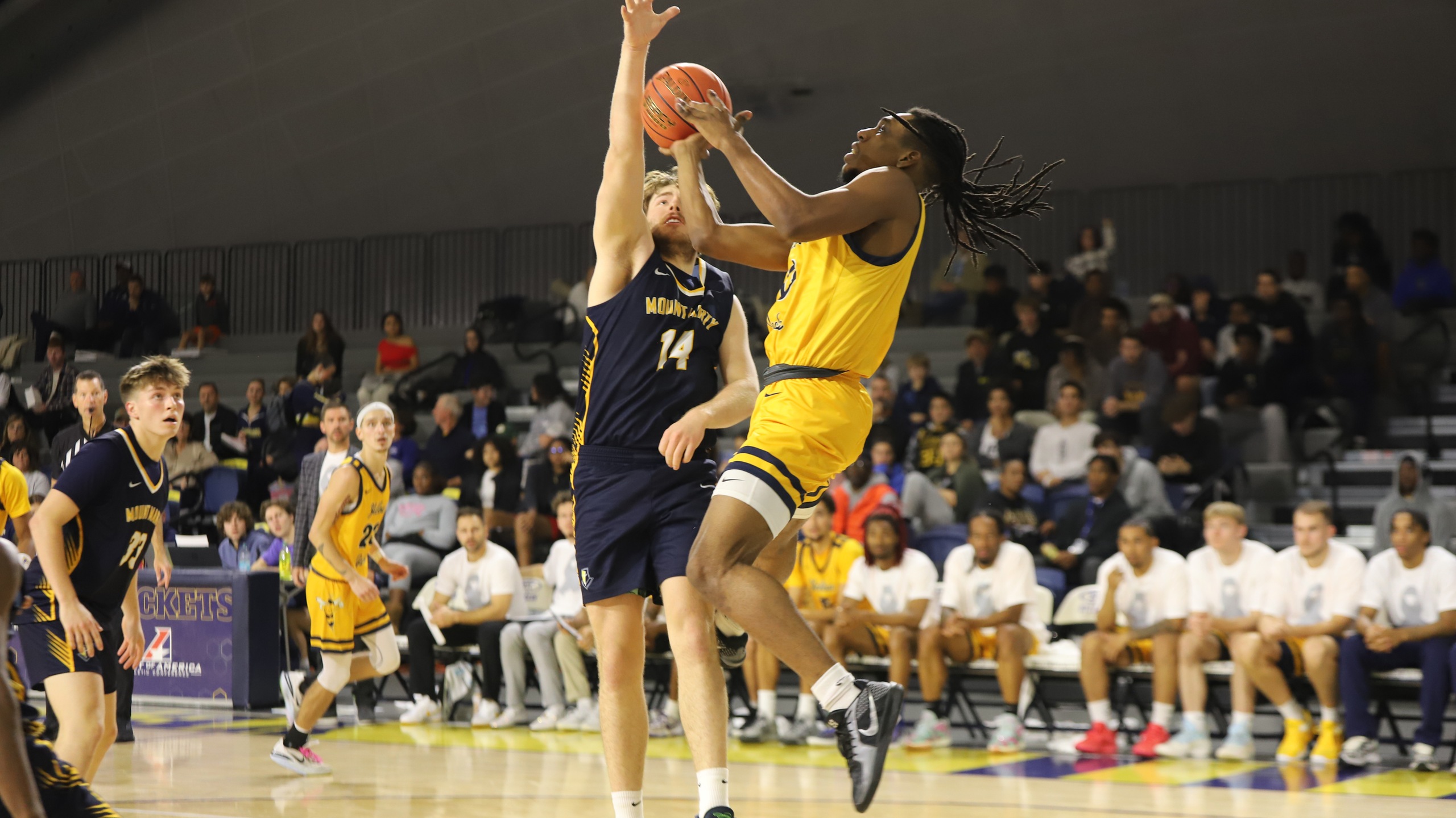 Graceland Men's Basketball Overcomes Clarke in Commanding Road Win